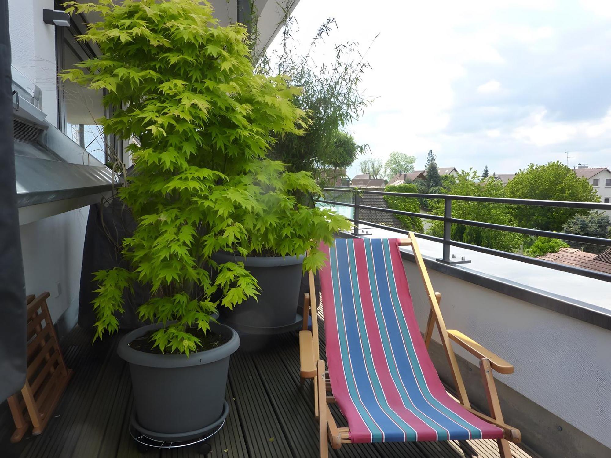 Kapps Haus Appartement Langenargen Buitenkant foto